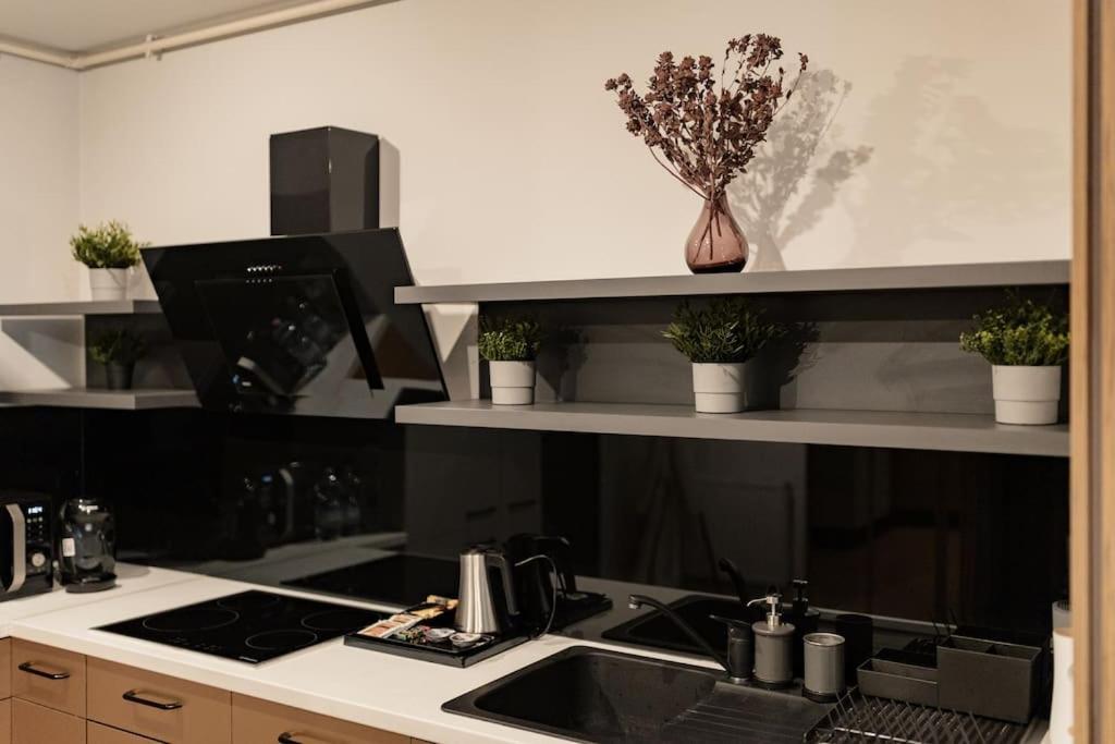קלוז'-נאפוקה Nest Inn Magic Apartment מראה חיצוני תמונה